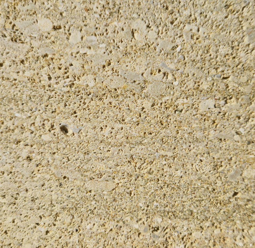 Face veinée - Coloris jaune.JPG